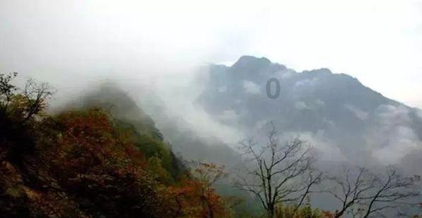 极品飞车ONLINE