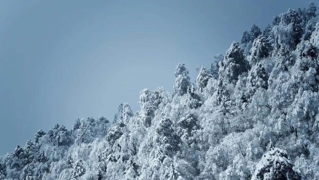 《幻兽帕鲁》科技点重置方法介绍