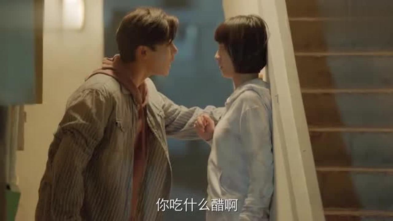 救援小孔雀