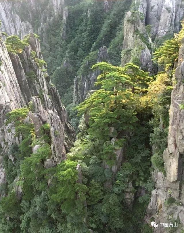 “孩子王”大比拼!杨紫携《要久久爱》剧组做客《你好,星期六》